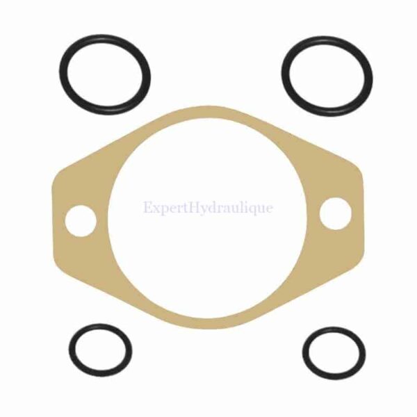 Kit joints papier et joints torique pour pompe double RENAULT 14 + 8 cm3
