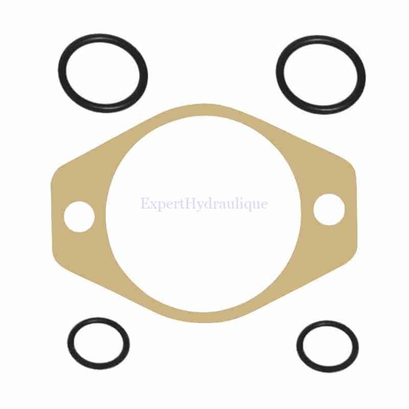 FGPREN002KITJOINT Kit joints papier et joints torique pour pompe double RENAULT 14 + 8 cm3