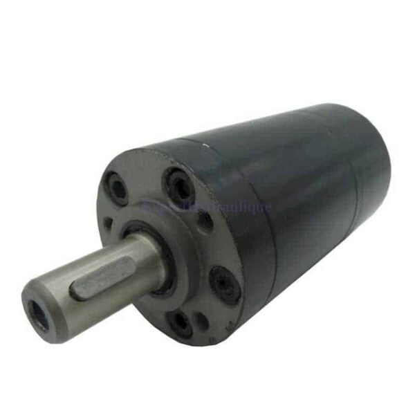 FGMMM032A16AR Moteur hydraulique OMM 32