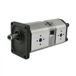 Pompe double avec arbre conique 1/8, flasque italien standard et brides.