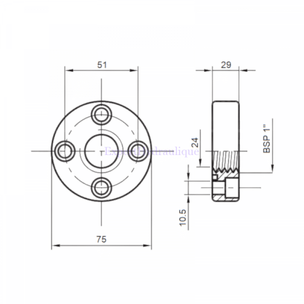 Côtes brides droites 1 pouce 51 mm