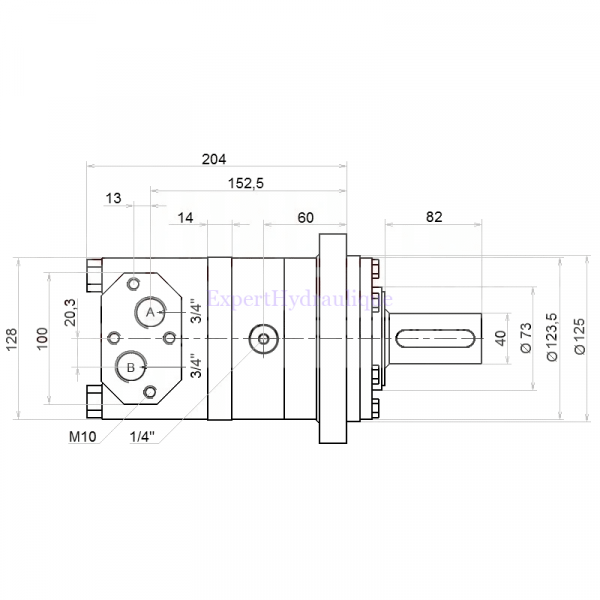 Côtes moteur hydraulique BMT 250 cm3 arbre de 40mm