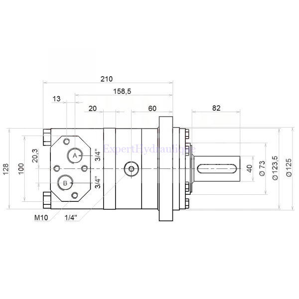 Côtes moteur hydraulique BMT 315 cm3 arbre de 40mm