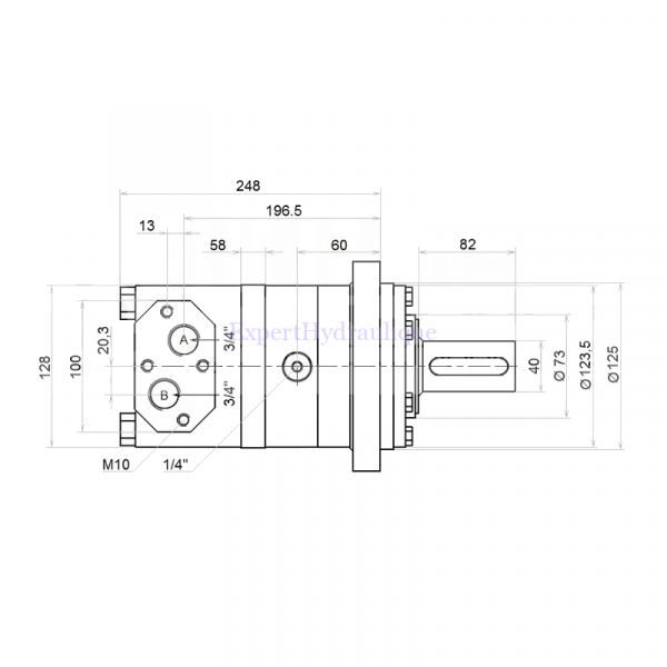 Côtes moteur hydraulique BMT 800 cm3 arbre de 40mm