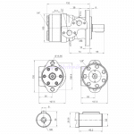 Côtes moteur hydraulique OMP BMR 25 cm3 arbre 32 mm