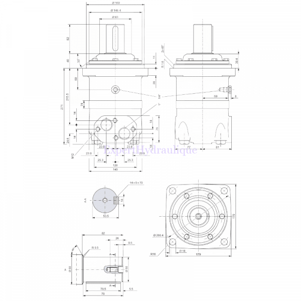 Côtes moteur hydraulique OMV 1000 cm3 arbre de 50mm