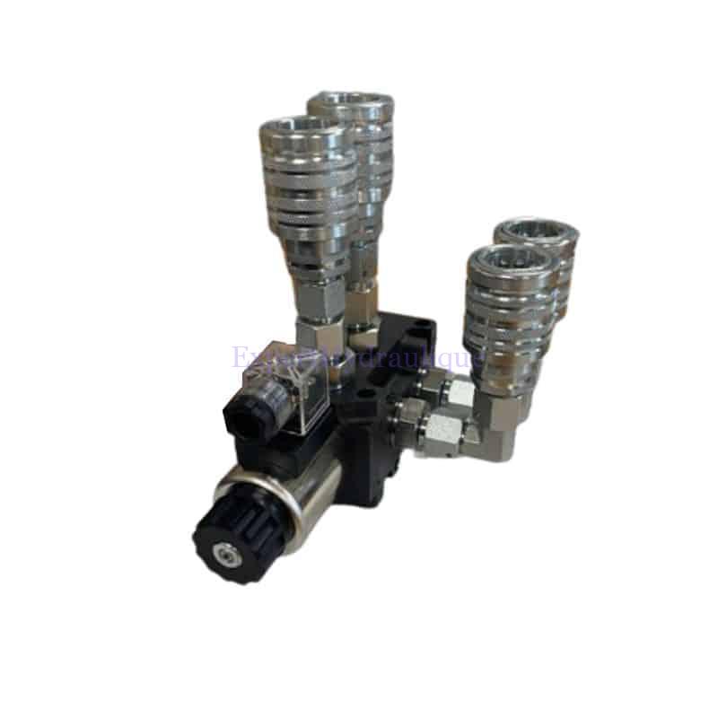 Sélecteur sorties coupleurs 1/2 Kit sélecteur 60 l/min avec 4 sorties coupleurs 1/2 ISO-A – Image 1