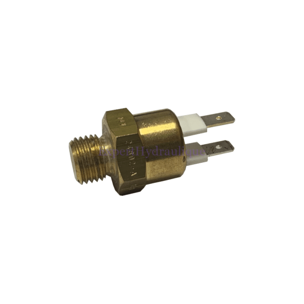 Sonde 50° en M14 pour radiateurs 250L Sonde 50° en M14 pour radiateurs 250L