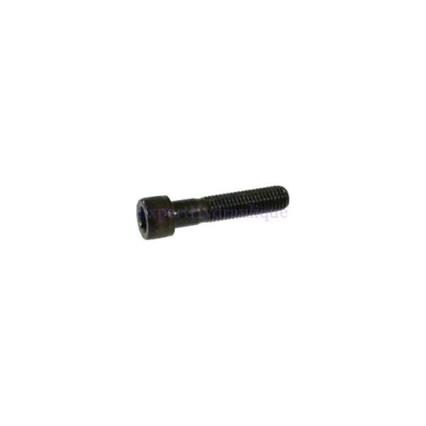 Vis tête cylindrique 6 pans creux CHC M5 qualité 12.9.
