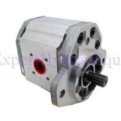 Pompe à engrenage groupe 3 111.25.014.0A ou SNP338SSC07.