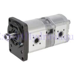 Pompe double flasque Allemand DIN avec arbre conique 1/5