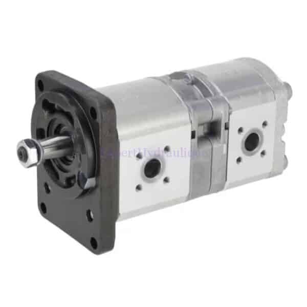 P212210X086 Pompe double flasque Allemand DIN avec arbre conique 1/5