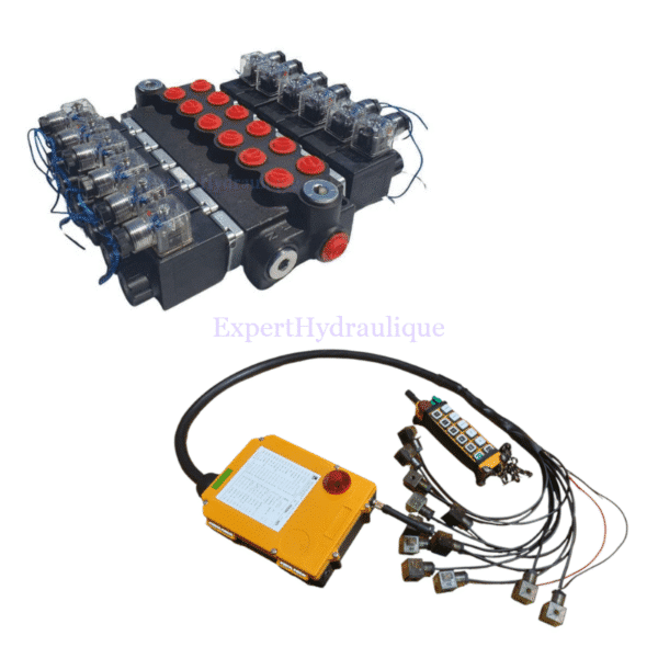 Kit distributeur électrique 6DE 50L_min + kit de commande précâblé Kit distributeur électrique 6DE 50L/min + radiocommande câblée – Image 1