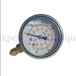 Manomètre 0 – 60 bars diamètre 63 mm sortie verticale
