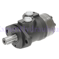 Moteur OMP 200 cm3 arbre 25mm fixation 2 trous - White Danfoss