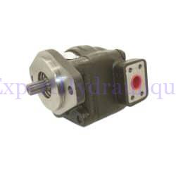 Pompe hydraulique pour Sanderson.