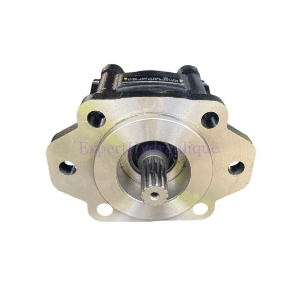 Pompe à pistons et de gavage pour manuscopique Dieci