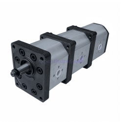 Pompe triple standard Gr3