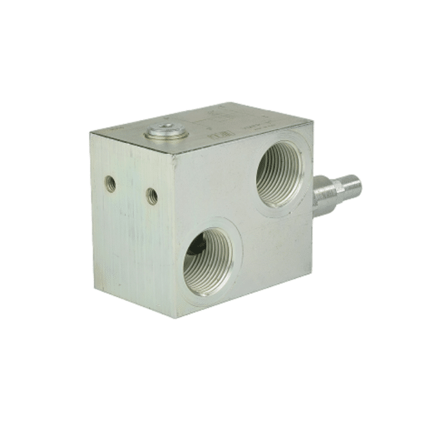 Limiteur de pression simple 1 BSP 50-400 Bar – Image 2